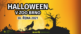 Halloween v Zoo Brno